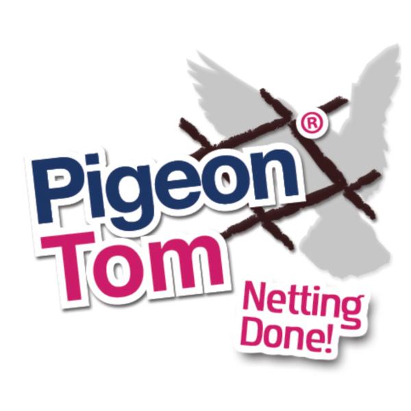 Pigeon Tom