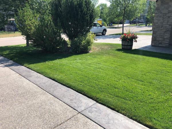 Sunlake Landscaping & Lawn Care