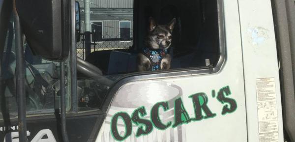 Oscar's Trash Service: Junk Removal