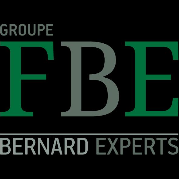 Groupe FBE Bernard Experts