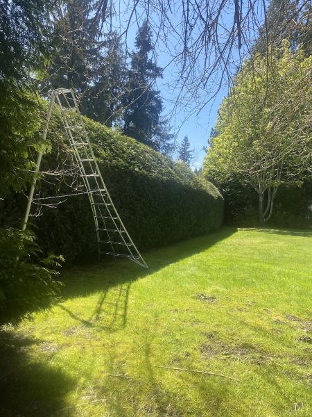 Pacific Hedge Tree Care & Hedge Trimming