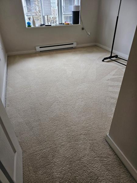 Greenworks Carpet and Floor Care