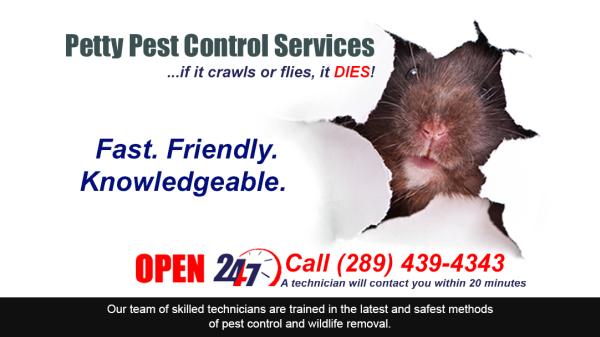 Petty Pest Control Services