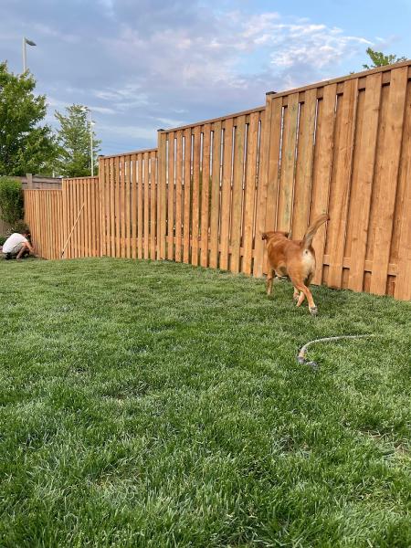 Fence Master Pros