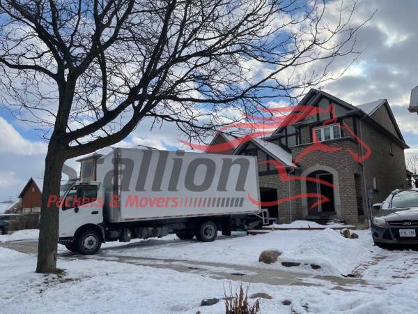 Stallion Packers & Movers Inc