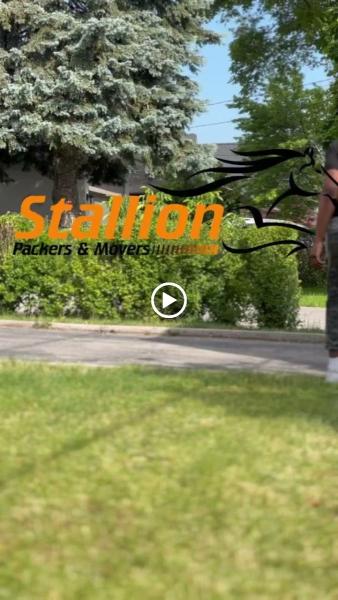 Stallion Packers & Movers Inc