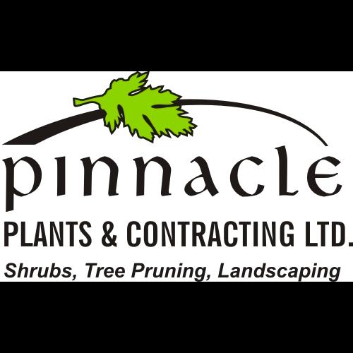 Pinnacle Sod