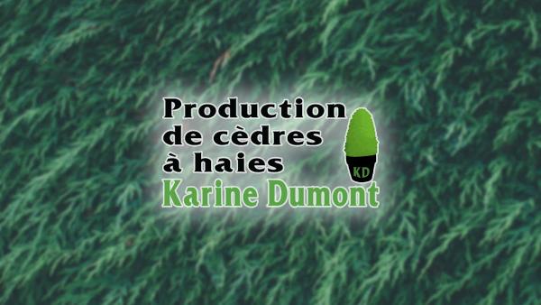 Cèdre à Haie Karine Dumont