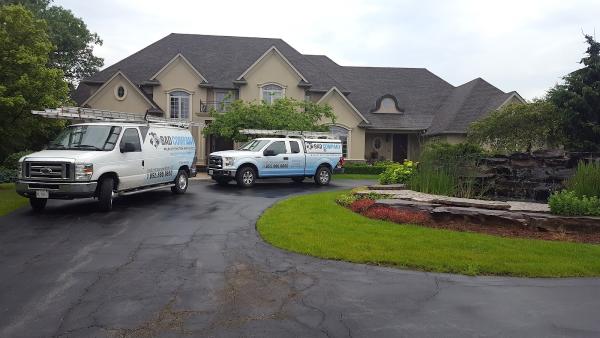 Bad Company Wildlife Eviction