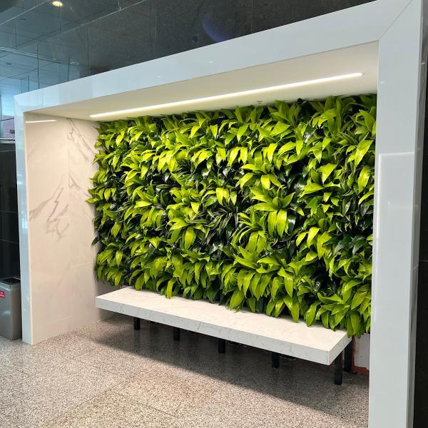 Living Wall Concepts Ltd