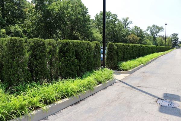 Fontaine Landscaping & Snow Services Ltd