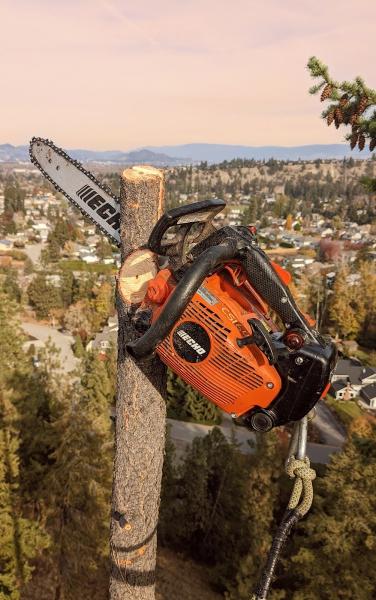 Kingtek Tree Services