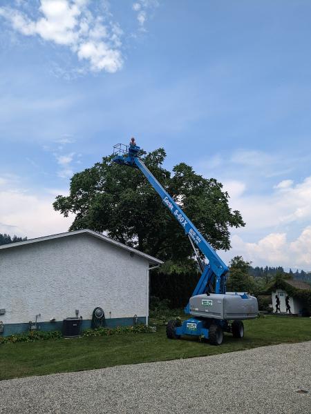 Kingtek Tree Services