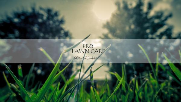 Pro Burnaby Lawn Care