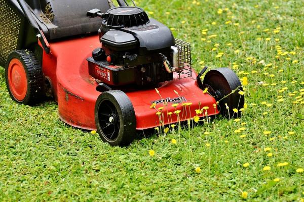 Pro Burnaby Lawn Care