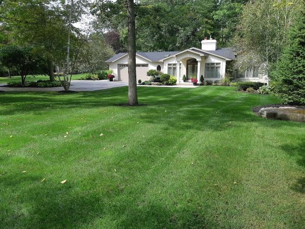 Lakeside Lawn & Property Maintenance