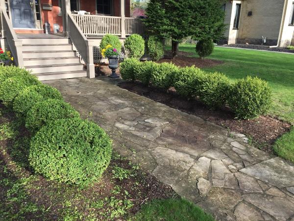 Fine Cut Landscaping