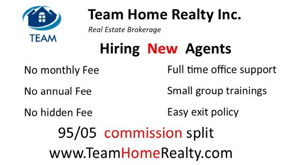 Team Home Realty Inc