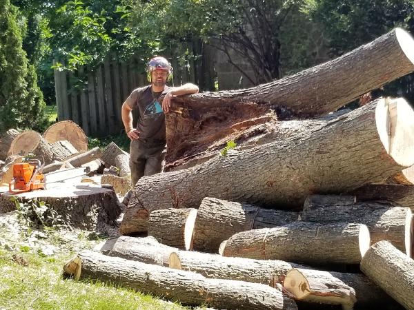 Émondage Village Tree Care