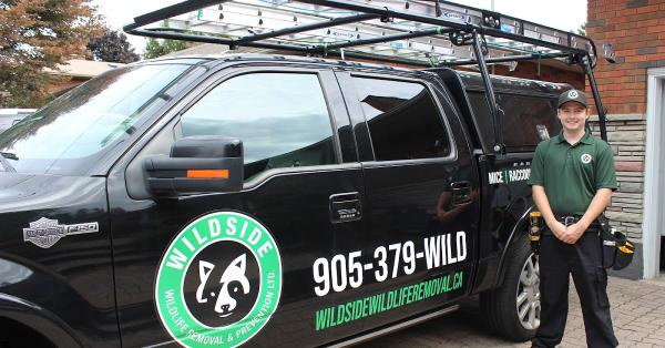 Wildside Wildlife Removal & Prevention Ltd.