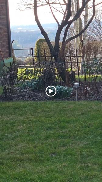 Lands LAB Landscaping