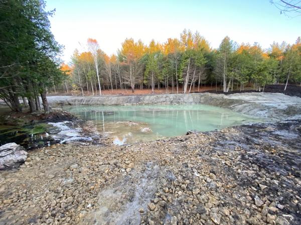 Pollock Land Clearing