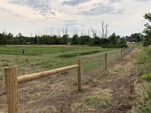 In-Line Fence