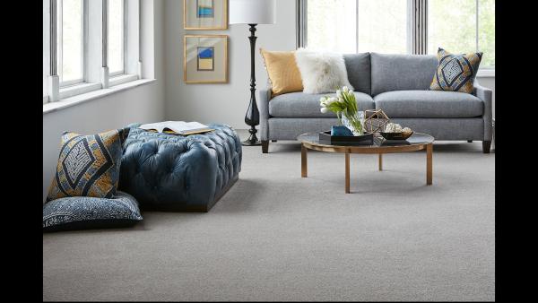 Alexanian Carpet & Flooring & Rug Cleaning