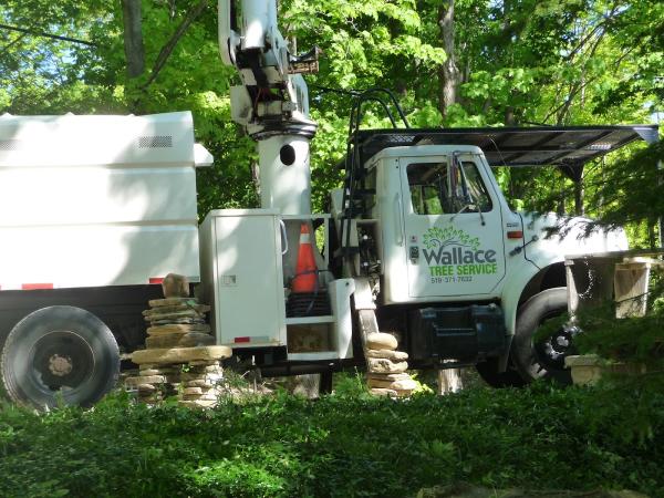 Wallace Tree Service