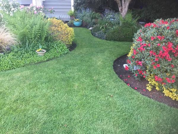 Nanaimo Landscaping & Lawn Care