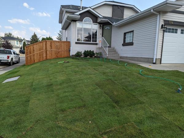 Scott's Sod Sales & Installation Inc.