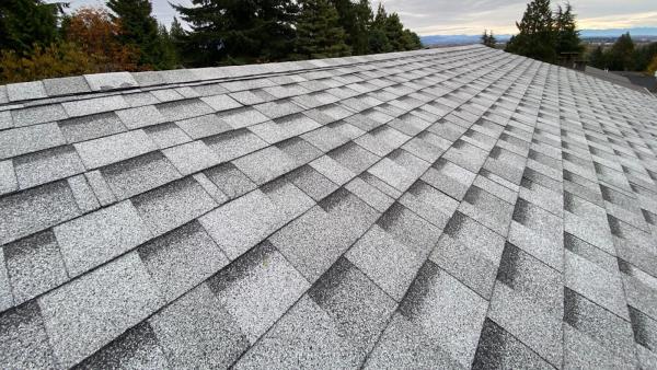 Dignity Roofing & Exteriors