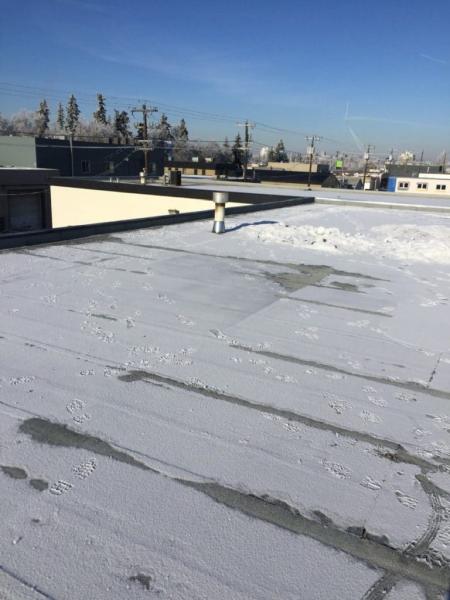 Rapid Roofing & Repairs Inc.