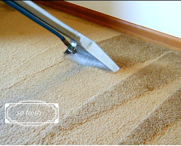 Eco-Fresh Carpet & Grout Cleaning