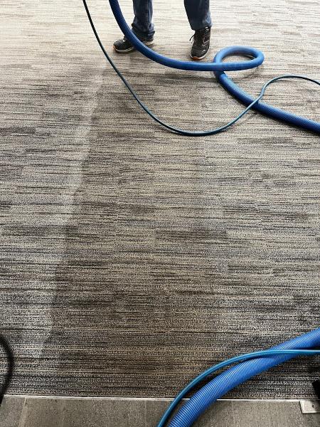 Total Carpet Upholstery & Vent Cleaning Ltd