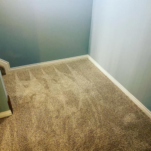 Sparkling Clean Carpets and Custodial Services