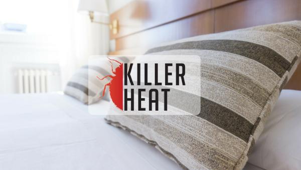 Killer Heat Bed Bug Extermination