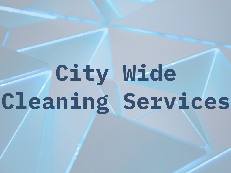 M & S City Wide Cleaning Services