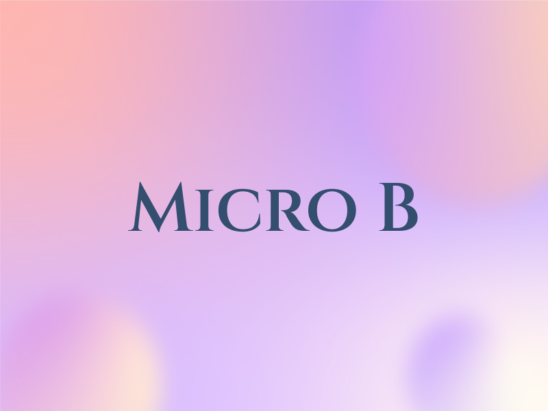 Micro B