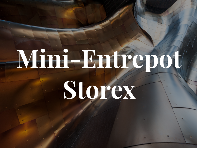 Mini-Entrepot Storex
