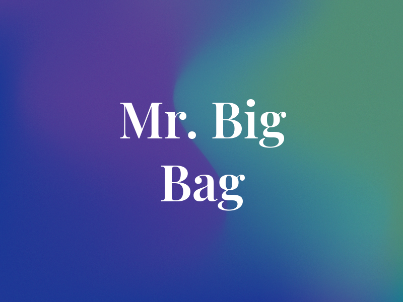 Mr. Big Bag