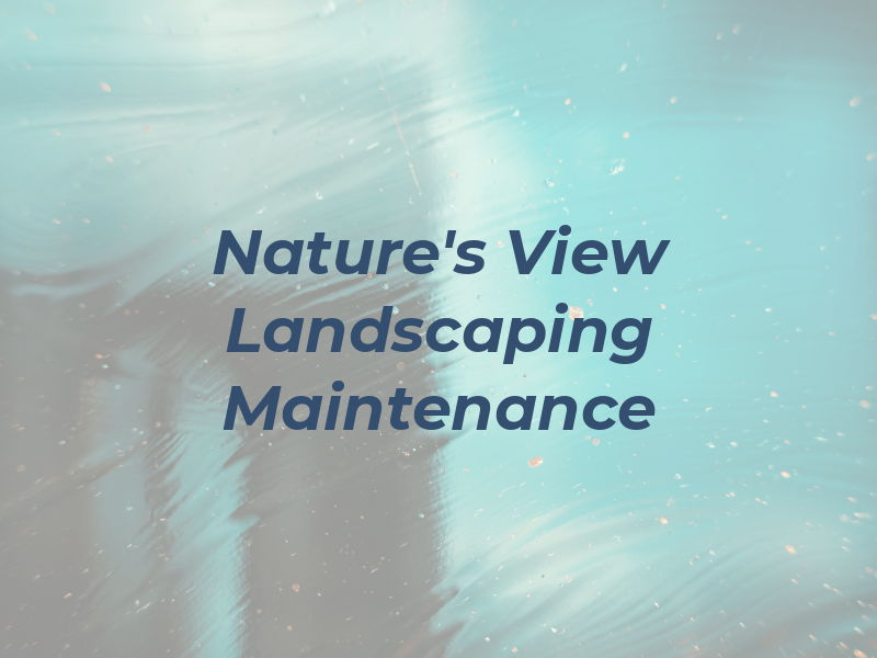 Nature's View Landscaping & Maintenance