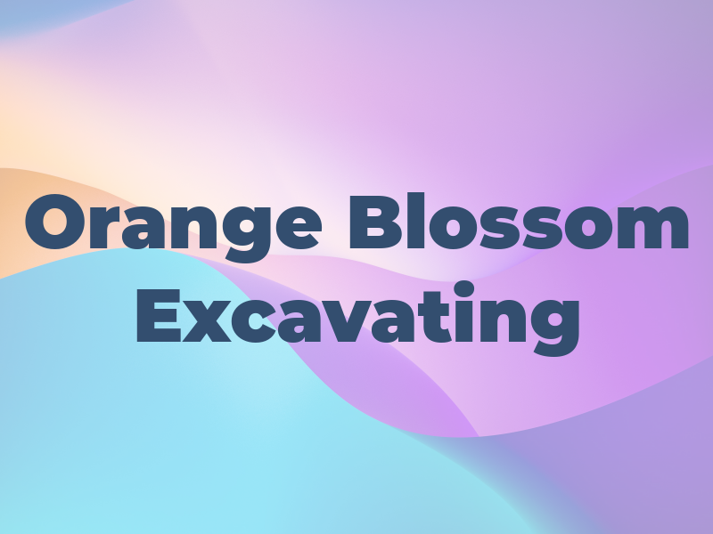 Orange Blossom Excavating