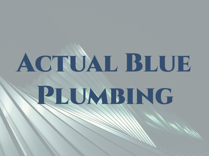 Actual Blue Plumbing