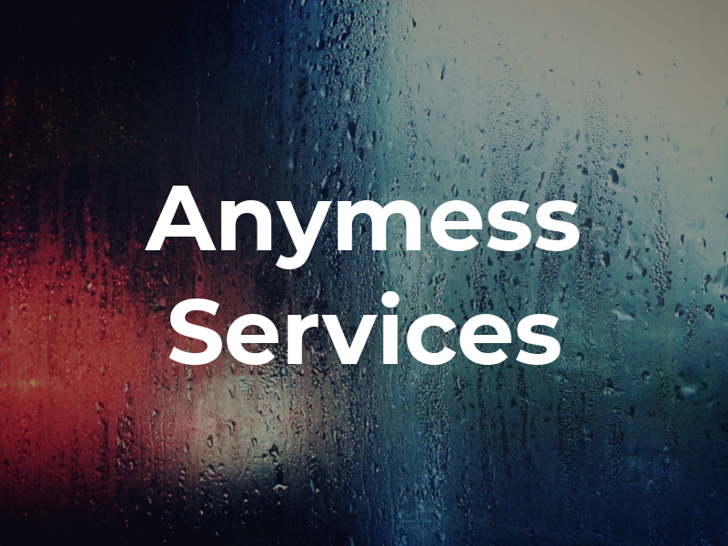Anymess Services