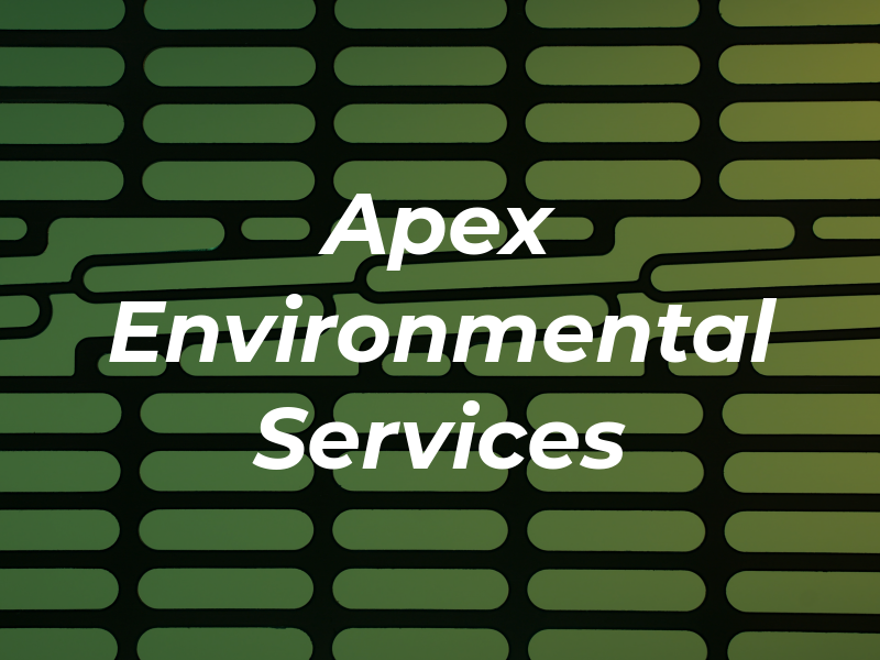 Apex Environmental Services Inc