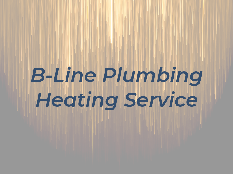 B-Line Plumbing Heating and Service