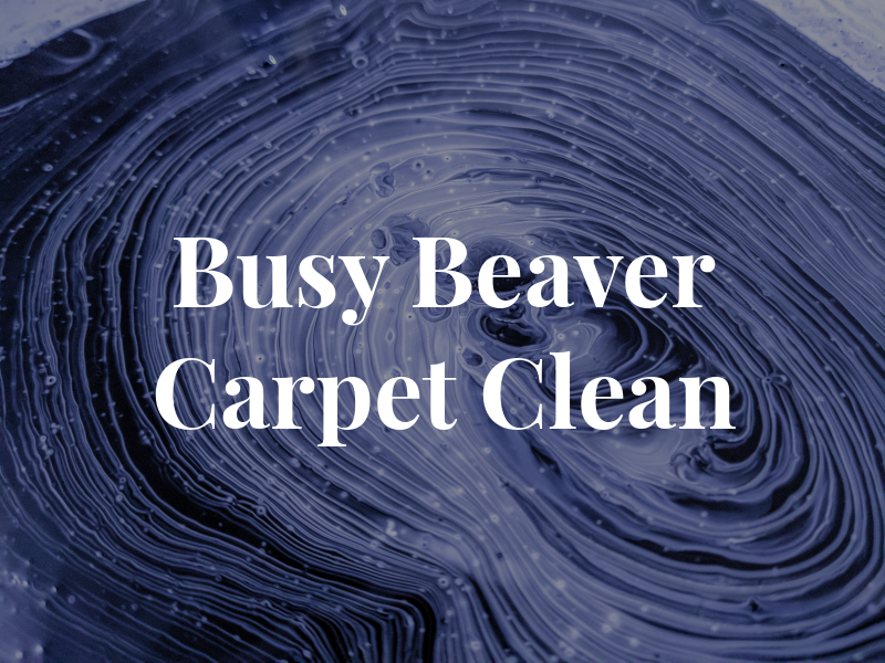 Busy Beaver Carpet Clean