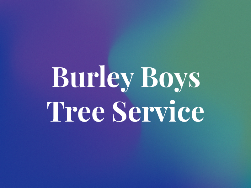 Burley Boys Tree Service