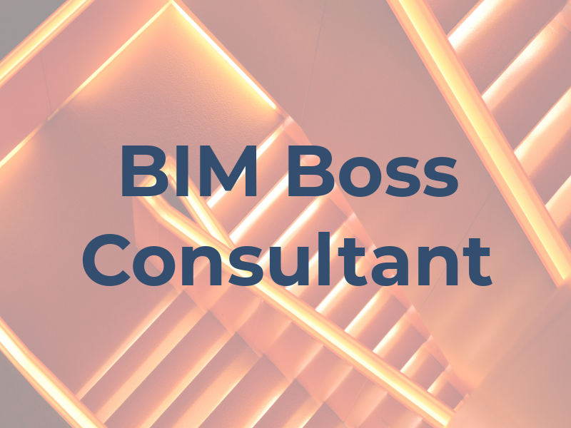 BIM Boss Consultant